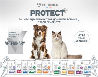 НОВИТЕ ХРАНИ PROTECT - РЕГИСТРИРАНИ ДИЕТИЧНИ ХРАНИ ЗА КУЧЕТА И КОТКИ СЪС СПЕЦИФИЧНИ ХРАНИТЕЛНИ ПОТРЕБНОСТИ
