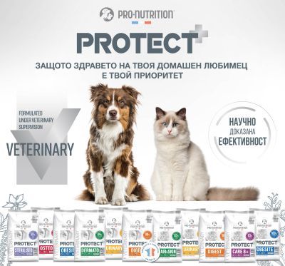 Храна за кучета Pro-Nutrition Flatazor PROTECT NEW 2025